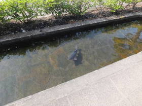 DSCF0434.JPG