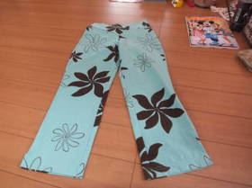 DSCF0762.JPG