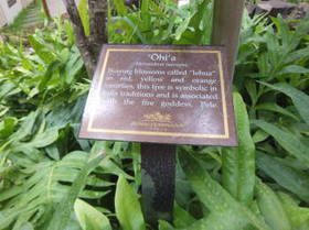 DSCF0794.JPG