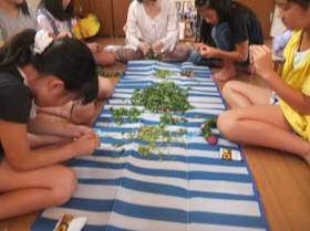 DSCF0956.JPG