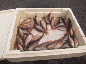 DSCF1049.JPG