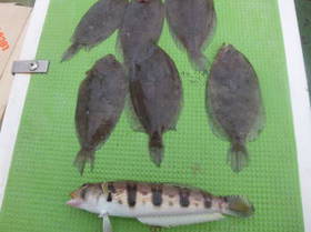 DSCF2840.JPG