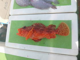 DSCF2841.JPG