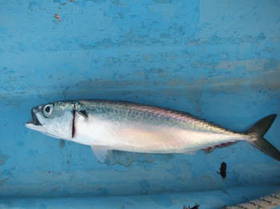 DSCF2852.JPG