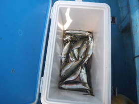 DSCF2853.JPG
