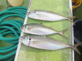 DSCF2972.JPG