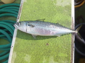 DSCF2973.JPG