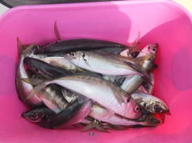 DSCF2975.JPG