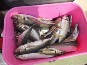 DSCF2977.JPG