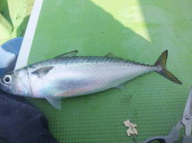 DSCF2989.JPG