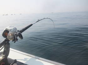 DSCF2991.JPG
