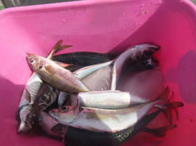 DSCF2992.JPG