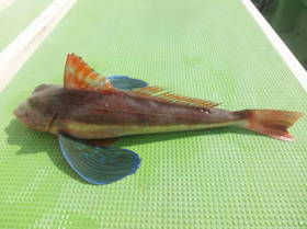 DSCF3022.JPG