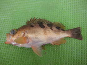 DSCF3042.JPG