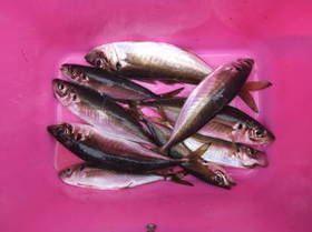 DSCF3093.JPG