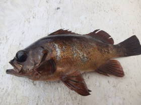 DSCF3108.JPG