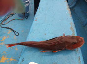 DSCF3418.JPG