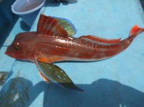 DSCF3887.JPG