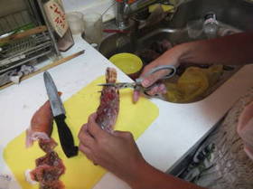 DSCF4279.JPG