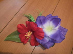 DSCF4601.JPG