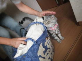 DSCF4607.JPG