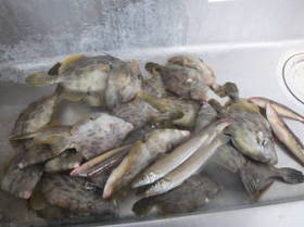 DSCF4750.JPG