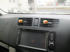 DSCF6010.JPG