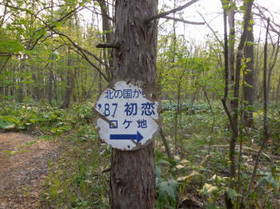DSCN0396.JPG