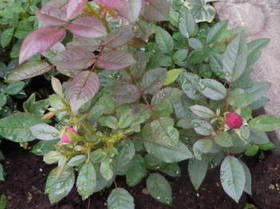 DSCN0513.JPG