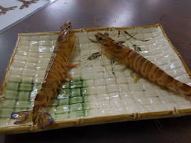 DSCN1130.JPG