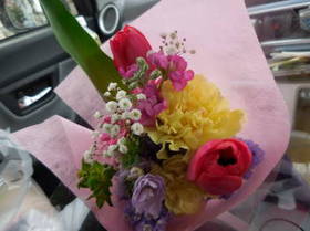 DSCN1293.JPG