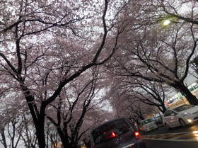 DSCN1298.JPG