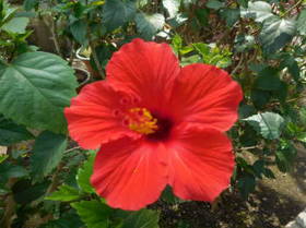 DSCN1377.JPG