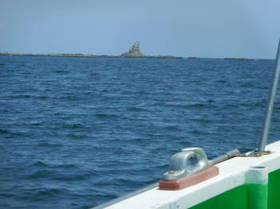 DSCN1453.JPG