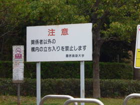 P1020609.JPG